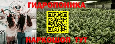 стаф Бугуруслан