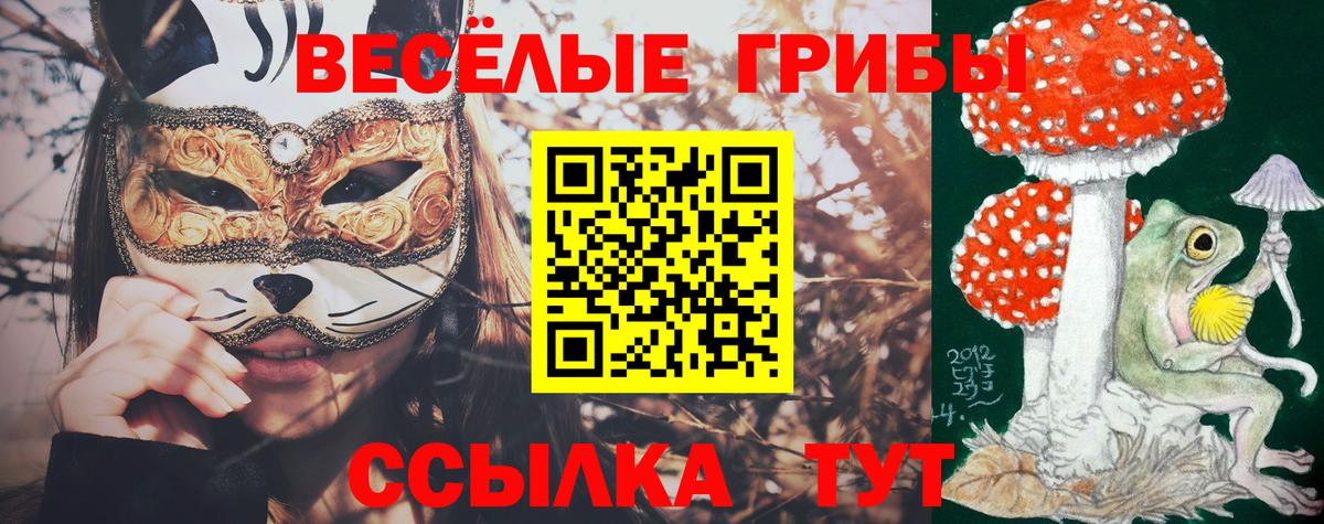 Среднеуральск  Галлюциногенные грибы Psilocybe  Вход с VPN 